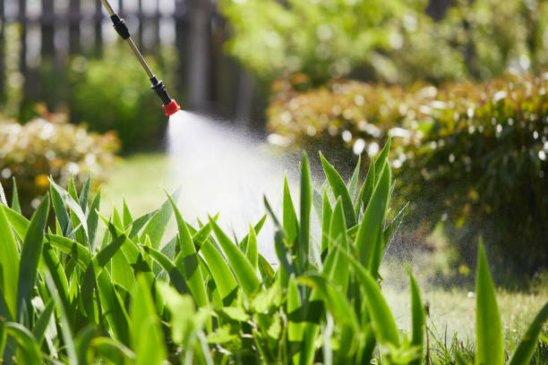 Tamper-Resistant Bait Stations for Rodents in Searles Valley