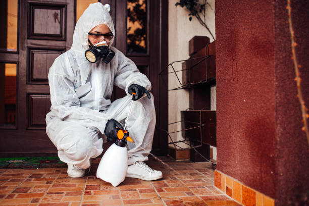 Attic and Crawl Space Rodent Treatment in Searles Valley