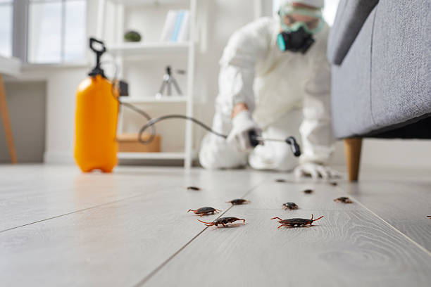 Commercial Rodent Management in Searles Valley
